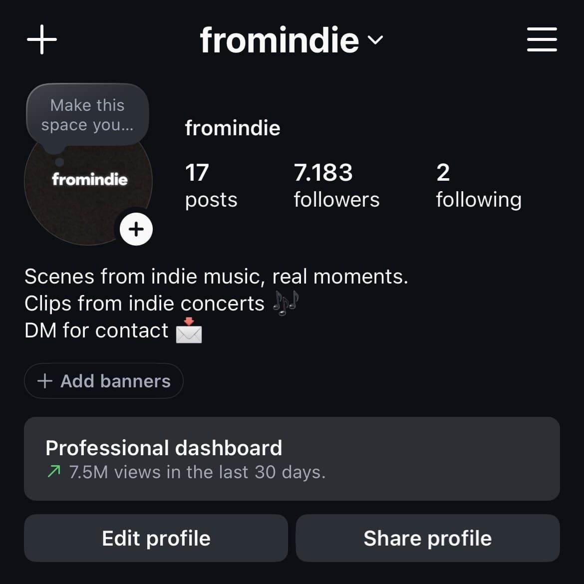 fromindie instagram profile